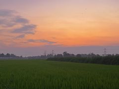 -中国天府农业博览园