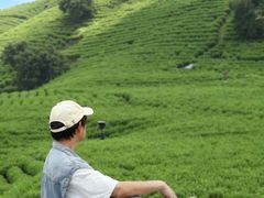 -帐篷客·溪龙茶谷度假酒店