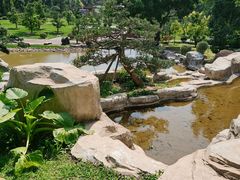 -深圳仙湖植物园