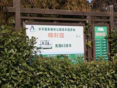 -东平国家森林公园