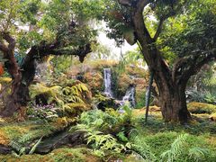 -Chom Cafe and Restaurant