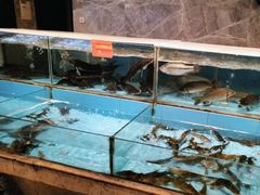 -饭怕鱼(阳光100店)