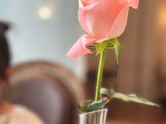 -Angelina安吉丽娜(恒隆广场店)