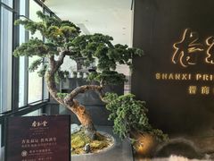 -杏花堂晋商私房菜(华熙五棵松店)
