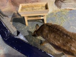 -酷嗒动物文化乐园(cutezoo西溪乐天城店)