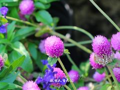 -杭州少年儿童公园