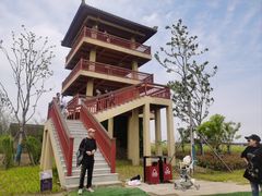 -杭州湾海上花田景区