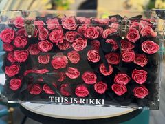 -Hi City·城市之巅