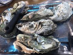 -蚝得喜海鲜(东城店)