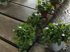 -梧桐餐厅(泉城路店)