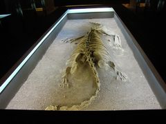 -世界恐龙谷景区