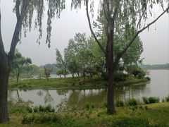-东郊湿地公园
