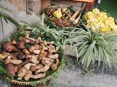 -大理董·董家小厨野生菌火锅(古城旗舰店)