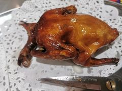 -石岐乳鸽村(南海第三分店)
