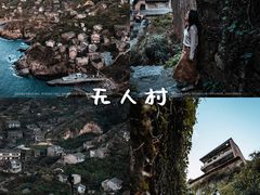 -枸杞岛