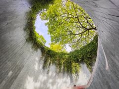 -花柏山公园
