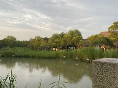 -沙家浜风景区
