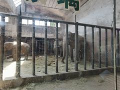 -石家庄市动物园