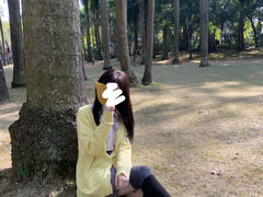 -金花茶公园