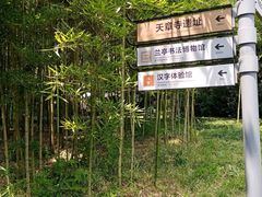 -兰亭风景区