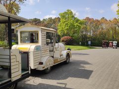 -上海海湾国家森林公园