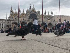 -圣马尔谷圣殿宗主教座堂