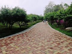 -玉树公园