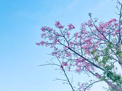 -白石龙音乐公园