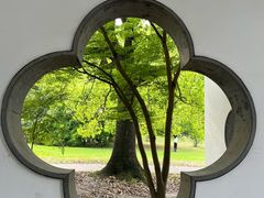 -上海共青森林公园