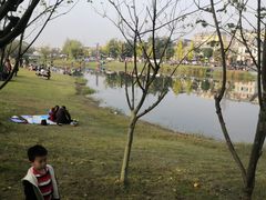 -两河城市森林公园