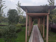 -中共上海市委党校 上海行政学院