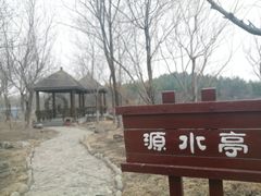 -塘沽森林公园