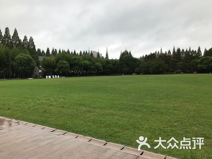 复旦大学光华楼光草图片 - 第1张