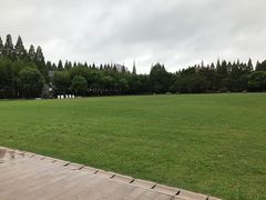 光草-复旦大学光华楼