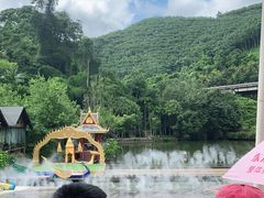 -西双版纳原始森林公园