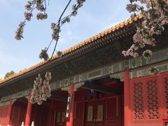 -东华门大街小区