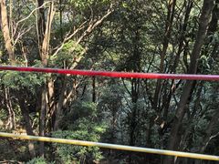 -梦幻奥陶纪景区