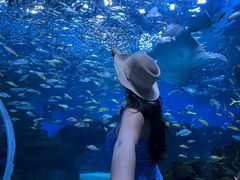-海合安成都极地海洋公园