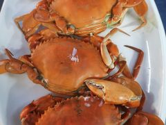 -大东海海鲜酒楼(渔人码头总店)