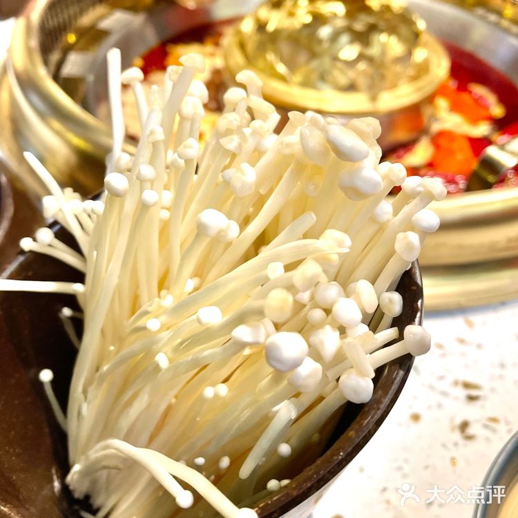 🔎济南探店|明星火锅店🍲