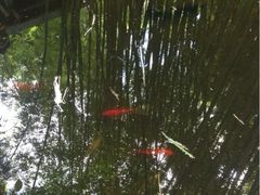 iphone_upload_pic-新竹里馆·花园餐厅(兴苑路店)