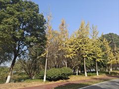 -洋湖国家湿地公园