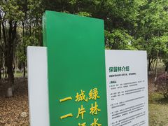 -九科绿洲