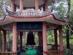 -江湾神木园