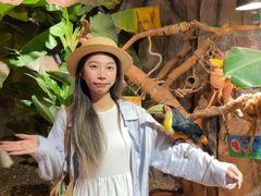 -正佳雨林生态植物园