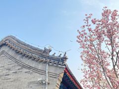 -西海子公园