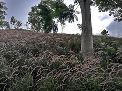 -白石龙音乐公园