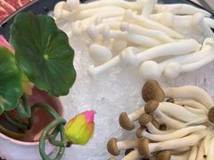 -潮汕酱记鲜牛肉火锅(欧尚店)