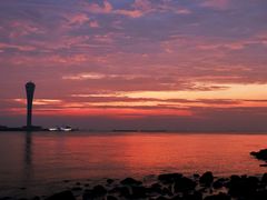 -上海吴淞炮台湾国家湿地公园