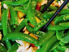 -唐猫庭院·千年陕菜(大唐不夜城店)